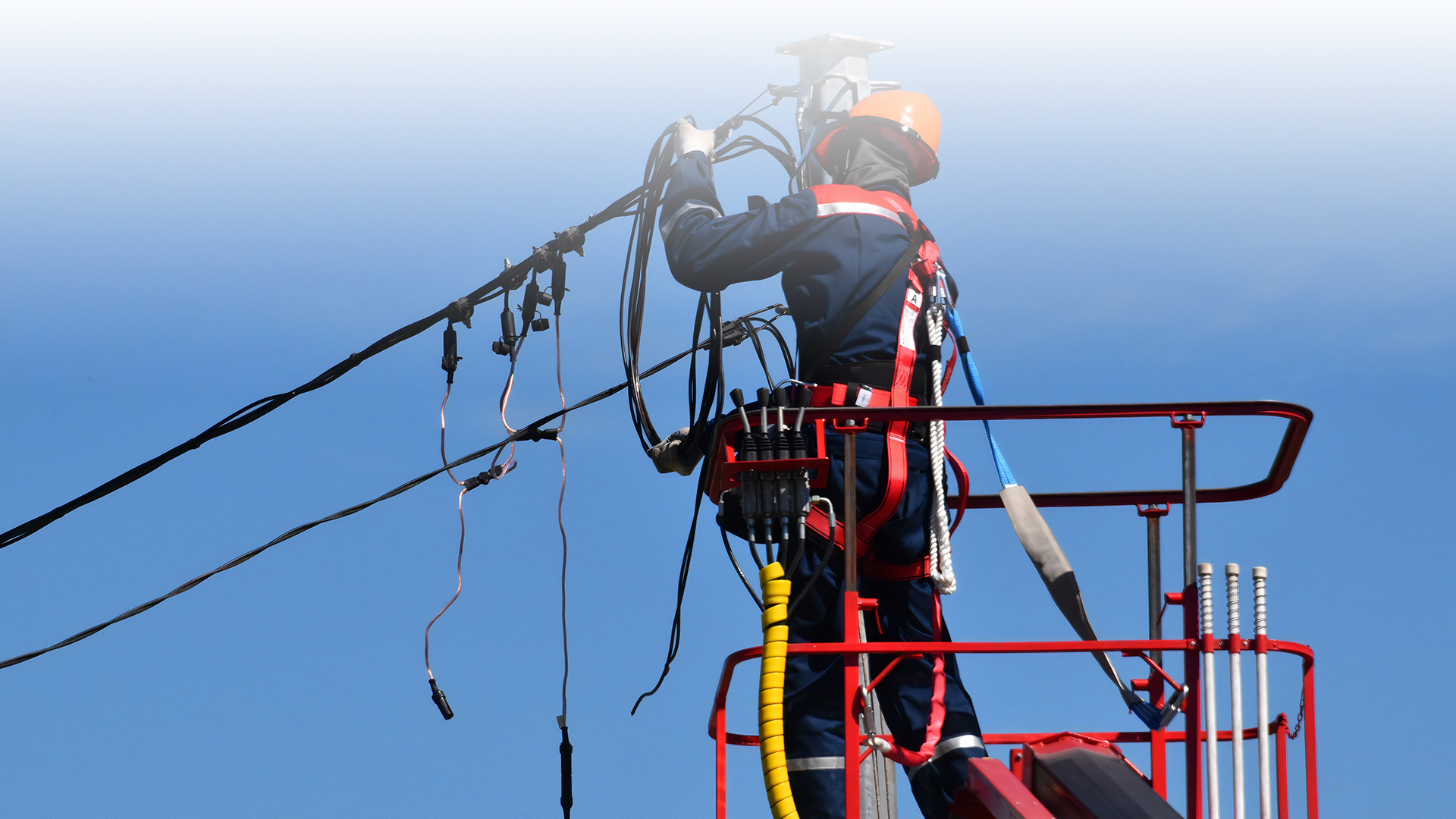 DMglobal_RopeTechnician