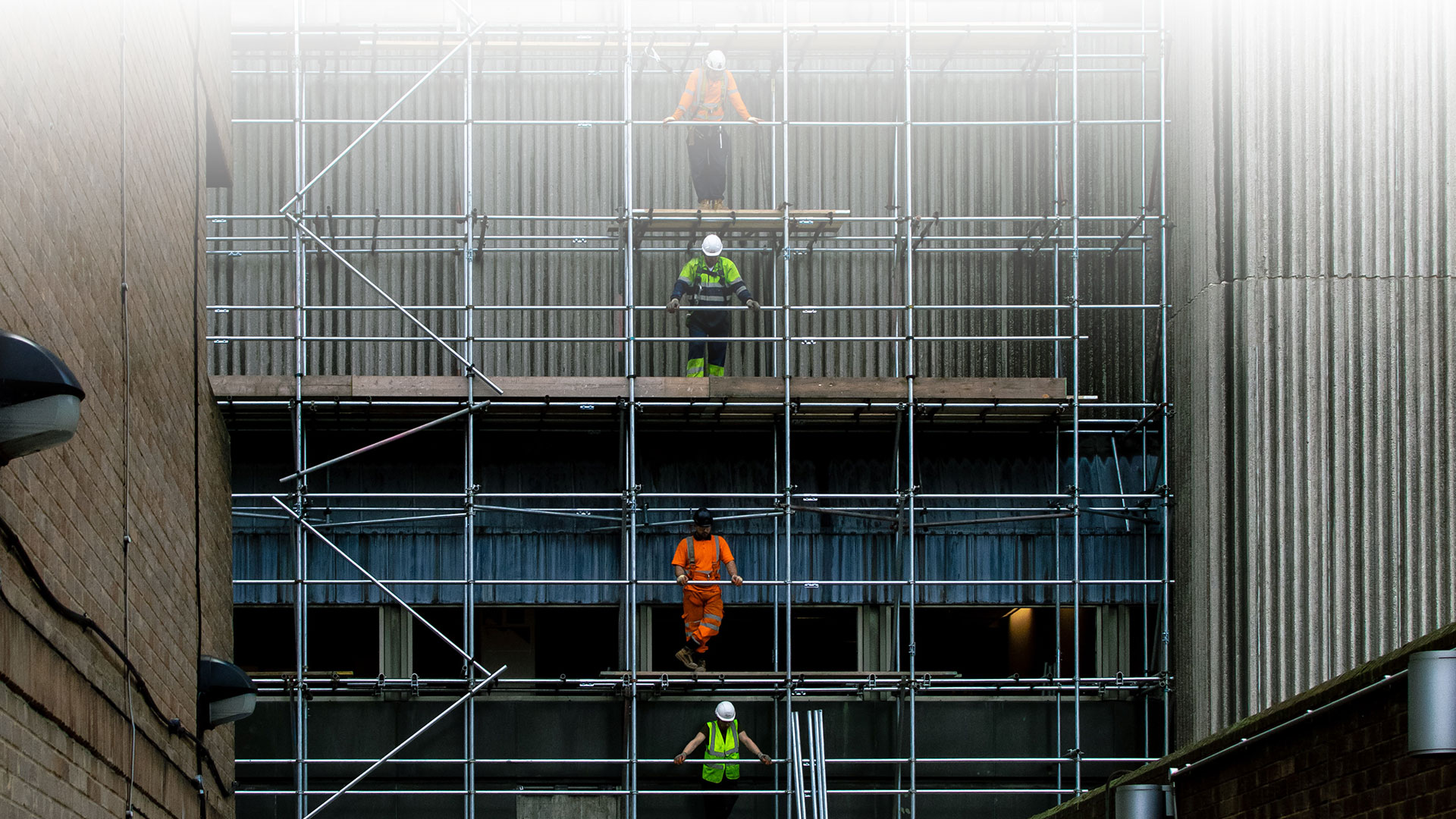 DMglobal_scaffolding