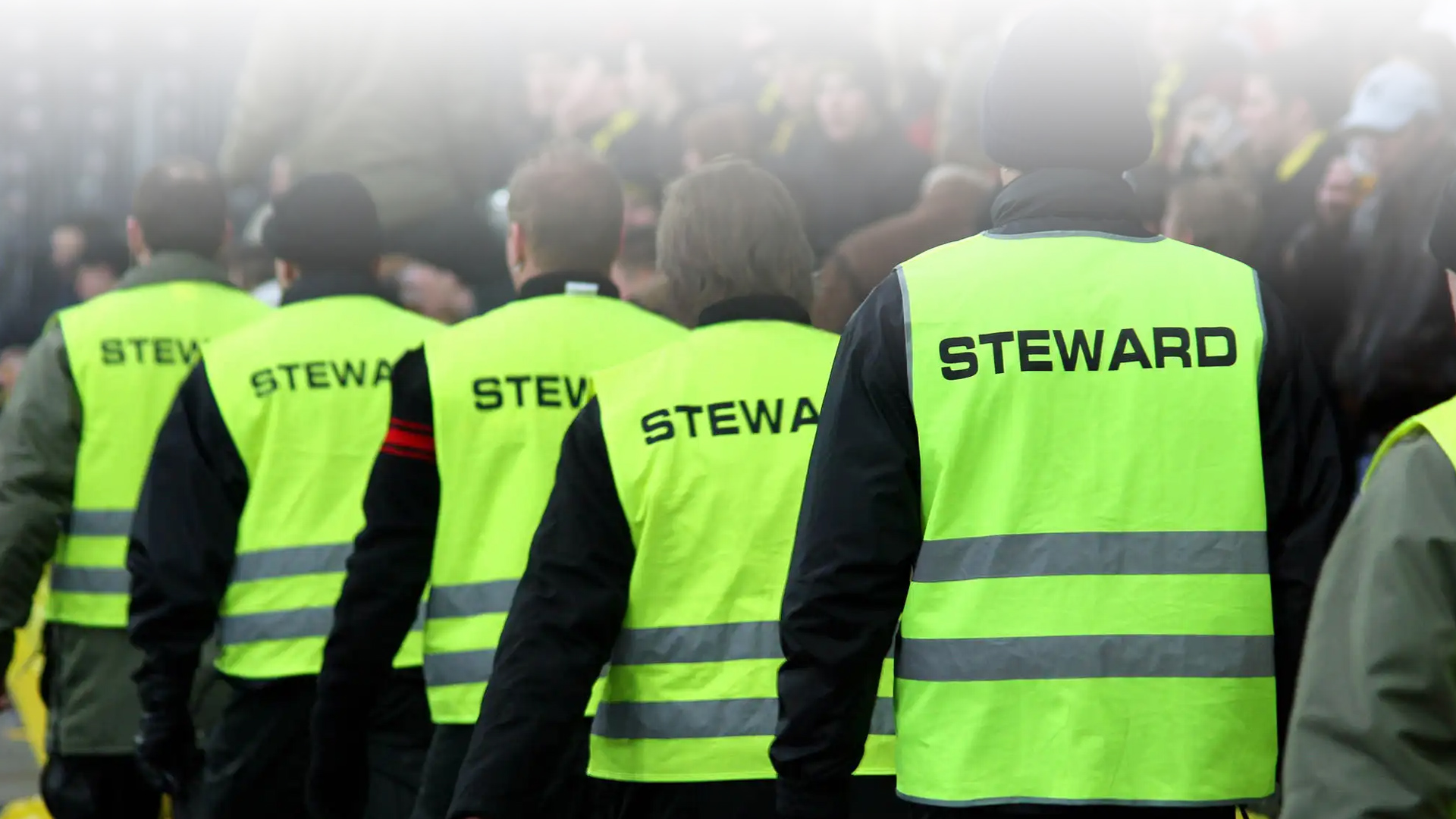 dm-global-banner-steward